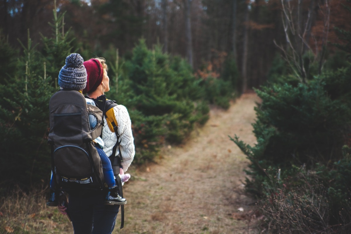 A parent hiking a woodland trail with their toddler riding in a hiking backpack carrier.